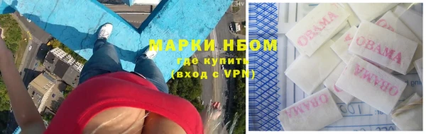 прущая мука Горняк