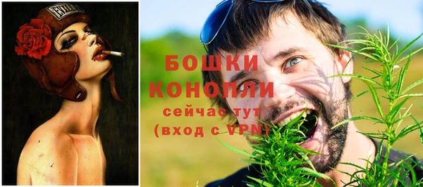 прущая мука Горняк